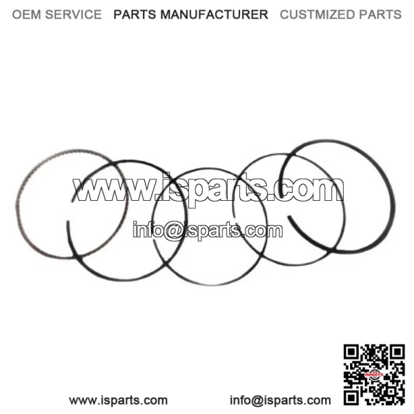 Standard Piston Rings Kit Set ATC ES TRX 250 300 FW X Honda