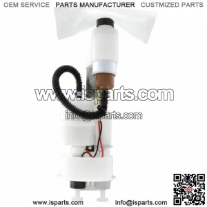 PI621581 Fuel Pump Quasar GTS 250 250 Vespa GTS (M45100) 2005-2014