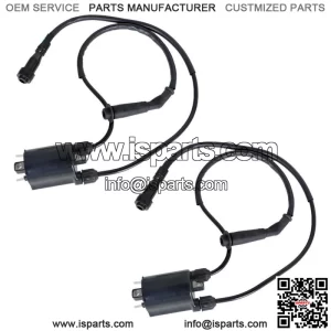 2sets of Ignition Coil & Spark Plug Cap For HONDA Shadow VLX VT600C 1988-2007