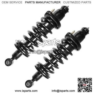 2 Rear Complete Struts With Springs Mounts Fit 2001 2002 Honda Civic 1.7L Only