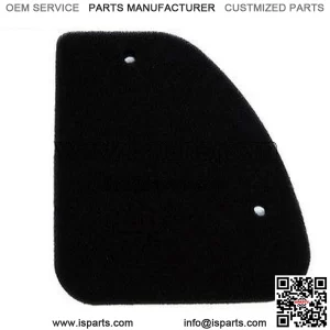 ATHENA Air Filter for Peugeot Vivacity 50