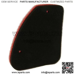 Peugeot Speedfight 2 AC 50cc [S1BADA] Double Layer Air Filter