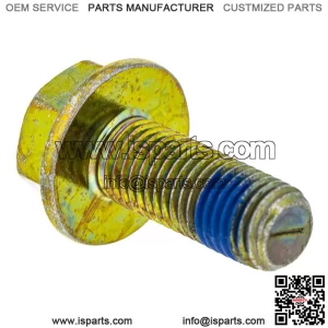 Polaris GEM Bolt with Patch, 10 mm x 1.25 mm x 25 mm, Genuine OEM Part 7518760, Qty 1