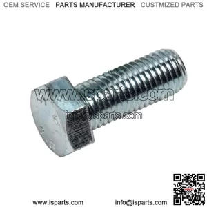 OEM Screw M10 X 25