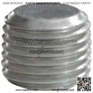 Blanking Plug M10/1 150166090010