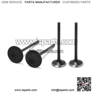 Intake & Exhaust Valves for Yamaha Raptor 700 / Rhino 700 / Viking 700 / Kodiak 700 / Grizzly 700