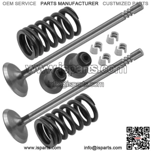Exhaust Valve Kit For Polaris Sportsman 800 Twin Efi 2005 2006 2007 (For: Polaris Sportsman 800)