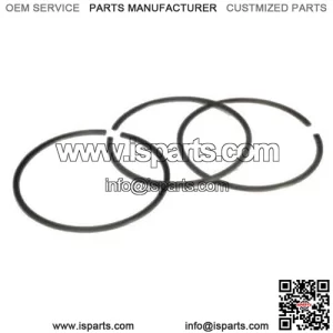 Piston Rings For Ski-Doo BACKCOUNTRY 600R ETEC 2019-2020 72.3MM STD Bore