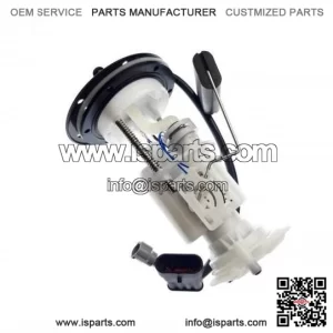 Fuel pump LINHAI 500 550 36442 (old model)