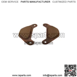 Polaris Snowmobile Rear Brake Pads by Ferodo - NEW!