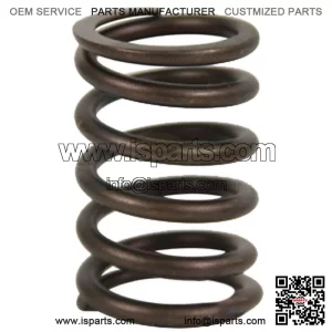 S.65711 Valve Spring - Outer Fits Case IH