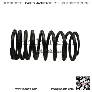 S.40501 Valve Spring - Inner Fits Landini