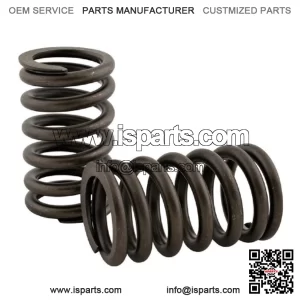 R-3900276 Valve Spring Fits Case