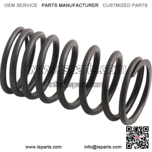 AM31744131 Inner Valve Spring