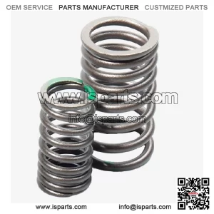 Valve Spring Set for Colove , Loncin , , Voge 500AC Euro 5, 500DS Euro 5 CMPO