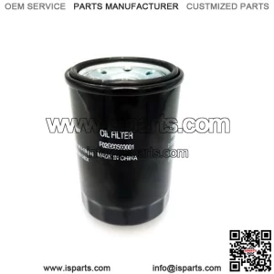 Oil filter Segway F02G00500001