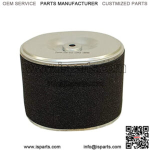 Air Filter W/ Pre Cleaner Fits Honda Engine GX340 GX390 11-13 Hp Washer AFZE30