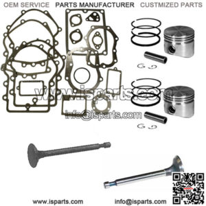 Rebuild Kit for Some Fits Briggs and Stratton Opposed Twin Cylinder Engine 16hp-