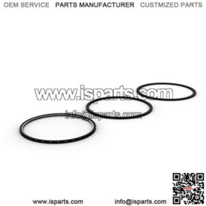 2171456 217-1456 Piston Ring Kit Fits CAT 247B 257B Fits CAT 3024C