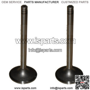 Set of 2 Exhaust Value 8N0875 Fits Caterpillar 3304 3306 3306C D330 C D333 C