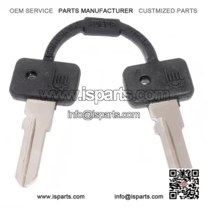 Set of 2 Blank Keys ?C Compatible with Vespa PX & LML Models.