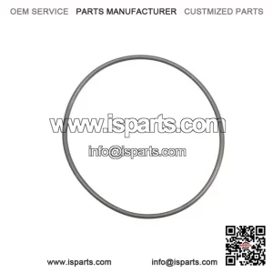 O-Ring 420831160, P420831160