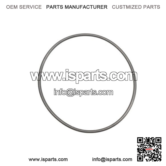 O-Ring 420831160, P420831160