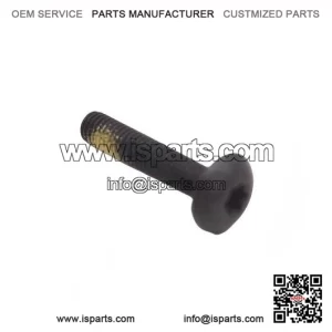 Torx Screw M5x25 250000300