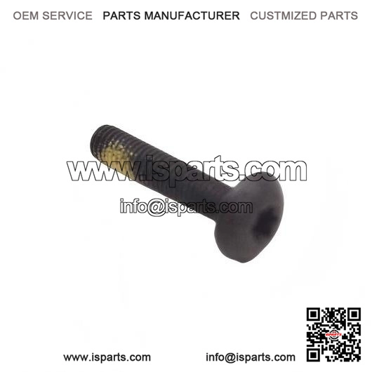 Torx Screw M5x25 250000300