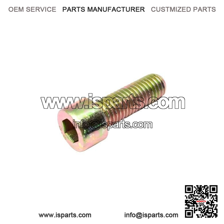 Socket Screw M10x30 205003044