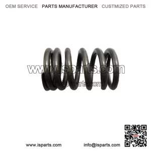 Valve Spring 420239360 Bombardier Rally 175