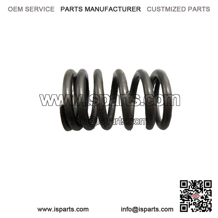 Valve Spring 420239360 Bombardier Rally 175